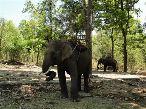 资料图。（图片来源于互联网）