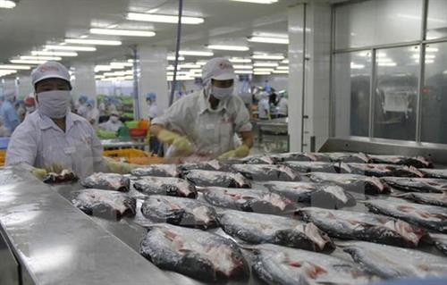 附图：加工查鱼。图自越通社