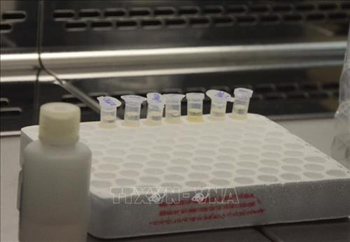 附图 图自越通社