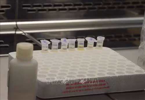 附图 图自越通社