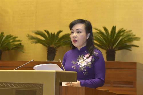 卫生部部长阮氏金进受政府总理委托作关于《预防和控制酒精使用危害法案草案》呈文。图自越通社