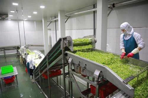 资料图。图自越通社