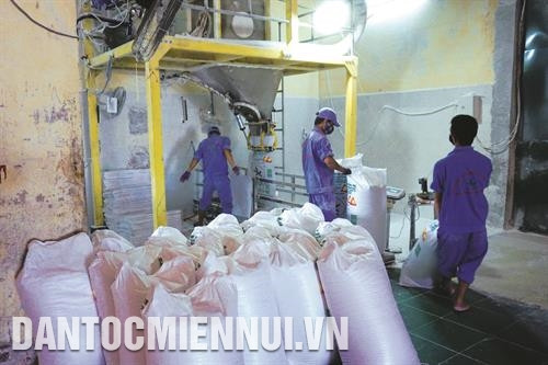 该县境内木薯粉加工厂投入运营已为当地同胞木薯销售作出重要贡献。