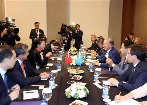 越南国会主席阮氏金银会见哈萨克斯坦马日利斯(下议院)议长努尔兰•尼格玛图林。图自越通社