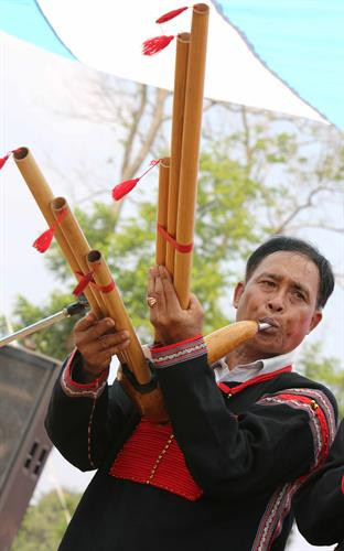 传统文化节的丁年笙表演。 艺人们参加藤器编织比赛。 土锦纺织表演。 传统文化节是保护埃地族传统文化特色的良好机会。
