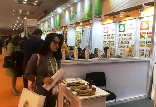 参观越南展位的参观者。图自互联网