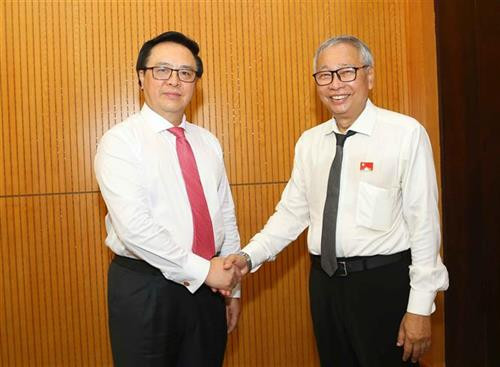 越共中央委员会、中央对外部部长黄平君会见缅甸全国民主联盟(NLD)常务委员会委员、财政委员会主任、经济委员会委员丁吴。图自越通社