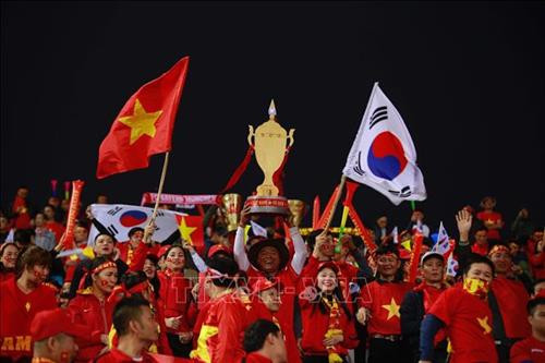 越南球迷。图自越通社