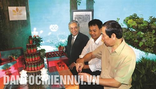 昆嵩玉玲人参拥有热别功效而其他人参品种没有的。记者 光泰 摄