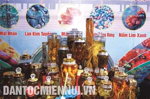 于2018年9月6日举行的昆嵩玉玲人参投资与发展会议上展示的玉玲人参产品。记者 光泰 摄