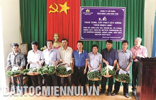 昆嵩玉玲人参股份公司向得格雷县芒红乡色当族提供种苗援助。记者 光泰 摄