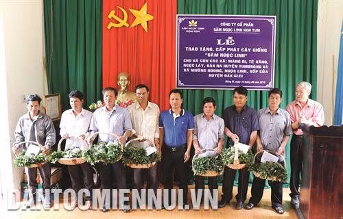 昆嵩玉玲人参股份公司向得格雷县芒红乡色当族提供种苗援助。记者 光泰 摄