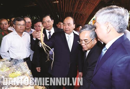 政府总理阮春福和代表们参观昆嵩玉玲人参和其他药材展的展位。记者 统一 摄