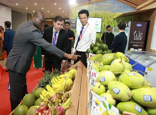 向中东和非洲地区推介越南农产品。图自越通社