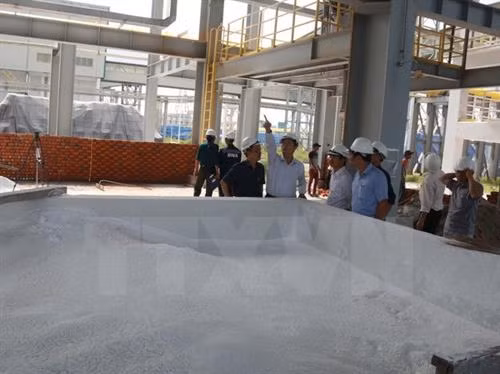 越南得农省氧化铝出口额达5000万美元 ảnh 1