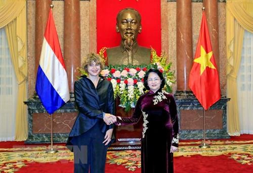 越南国家代主席邓氏玉盛（右）会见荷兰驻越大使埃尔斯贝特·阿克曼。图自越通社