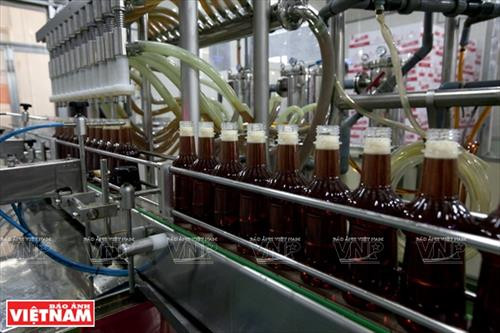 鱼露成品。（图片来源：越南画报）