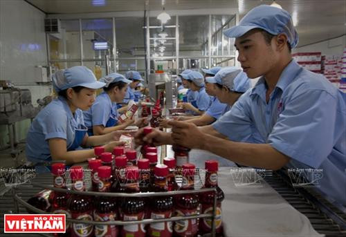 莲成鱼露各类产品。（图片来源：越南画报）