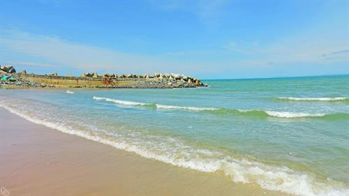 附图。图自因特网 附图。图自因特网