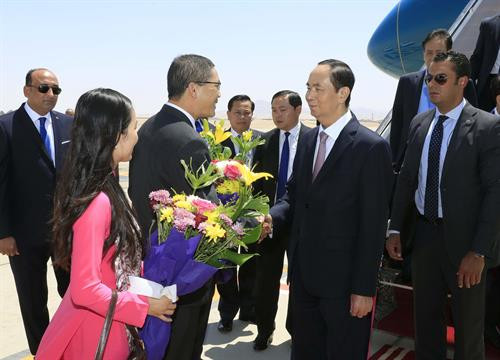 陈大光和夫人抵达卢克索市机场 图自越通社