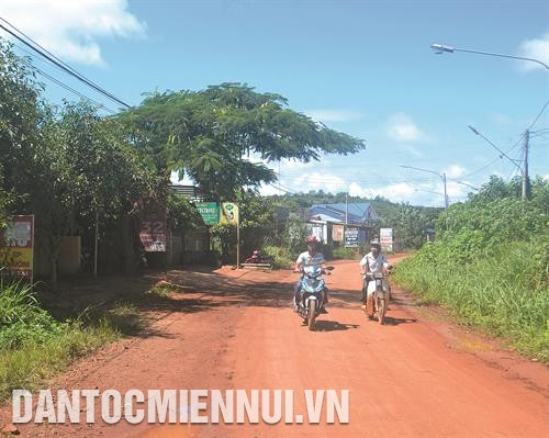 顺幸乡跨村公路的炉面全被硬化。记者 青平 摄 顺忠乡包心菜收获季节。记者 清平 摄 顺利村农民栽培咖啡树。记者 清平 摄 顺幸乡跨村公路的炉面全被硬化。记者 青平 摄 顺忠乡包心菜收获季节。记者 清平 摄 顺利村农民栽培咖啡树。记者 清平 摄