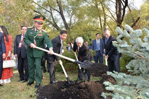 阮富仲一行和俄罗斯友人共同在胡志明主席塑像花园植下纪念树。图自《人民军报》 阮富仲一行和俄罗斯友人共同在胡志明主席塑像花园植下纪念树。图自《人民军报》