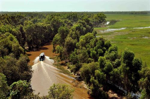 资料图:WWF承诺协助承天顺化省实施“森林生物多样性保护项目”二期项目图自越通社 资料图:WWF承诺协助承天顺化省实施“森林生物多样性保护项目”二期项目图自越通社