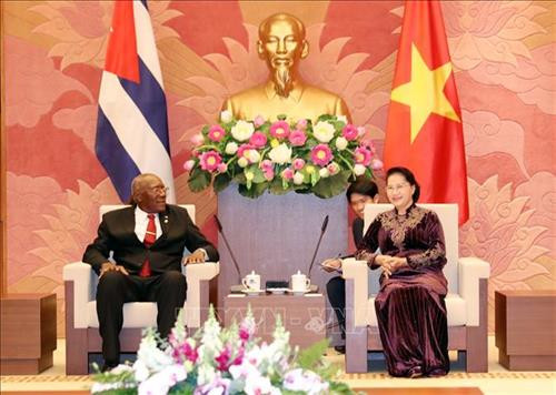 阮氏金银会见古巴国务委员会第一副主席 图自越通社