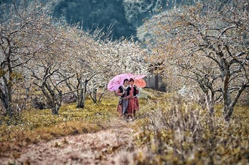 木州县已经成为颇受全国各地游客青睐的旅游目的地之一。图自互联网
