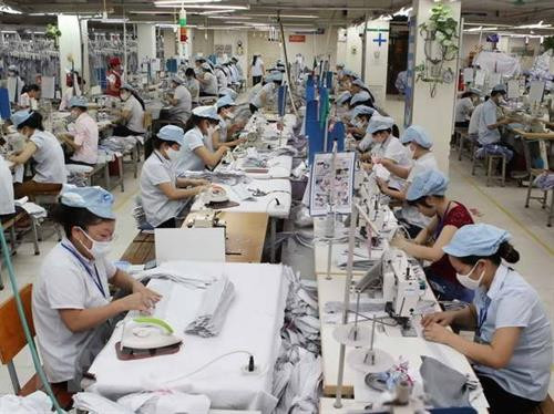 附图。图自越通社