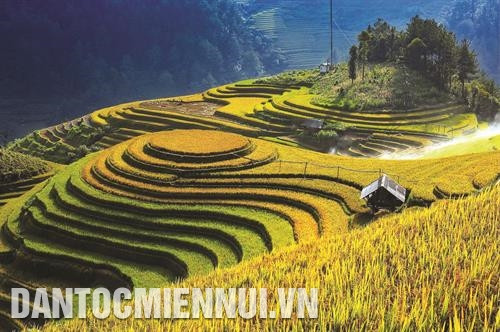 木江界梯田面积约500多公顷,集中在拉盼秦(La Pán Tẩn)、制句芽(Chế Cu Nha)、迪苏丰(Dế Su Phình)等乡。记者 俊英 摄 从高处俯瞰,木江界宛如一幅画,梯田从山脚层层叠叠,弯弯曲曲延伸,自然而然地走进人心。记者 俊英 摄 历代赫蒙族人的勤劳双手铸就了木江界一层层连绵不断的美丽梯田。记者 俊英 摄 木江界梯田面积约500多公顷,集中在拉盼秦(La Pán Tẩn)、制句芽(Chế Cu Nha)、迪苏丰(Dế Su Phình)等乡。记者 俊英 摄 从高处俯瞰,木江界宛如一幅画,梯田从山脚层层叠叠,弯弯曲曲延伸,自然而然地走进人心。记者 俊英 摄 历代赫蒙族人的勤劳双手铸就了木江界一层层连绵不断的美丽梯田。记者 俊英 摄