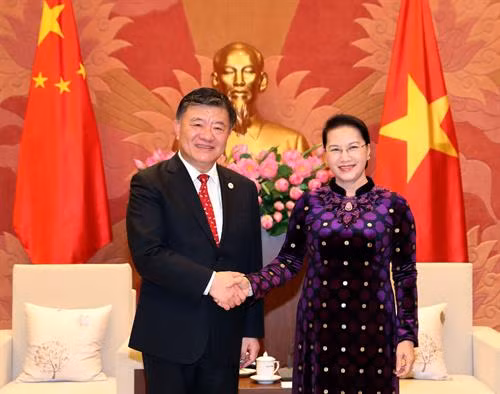 越南国会主席阮氏金银19日下午在河内会见中国全国人大常委会副委员长陈竺。 (图片来源:越通社) 越南国会主席阮氏金银19日下午在河内会见中国全国人大常委会副委员长陈竺。 (图片来源:越通社)