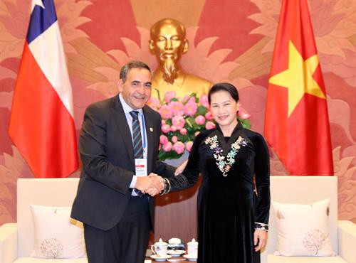 越南国会主席阮氏金银会见智利众议院议长。（图片来源：越通社）