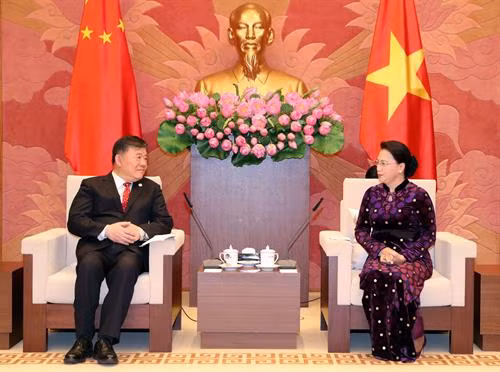 越南国会主席阮氏金银19日下午在河内会见中国全国人大常委会副委员长陈竺。 (图片来源:越通社) 越南国会主席阮氏金银19日下午在河内会见中国全国人大常委会副委员长陈竺。 (图片来源:越通社)