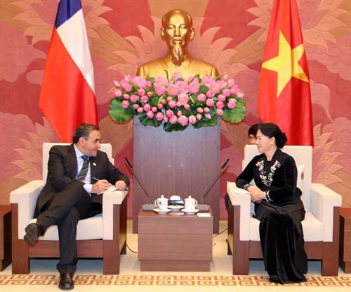 越南国会主席阮氏金银会见智利众议院议长。（图片来源：越通社）