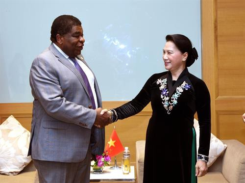 越南国会主席阮氏金银会见世界议会联盟秘书长马丁·纯贡。（图片来源：越通社）
