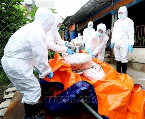 河内市农业与农村发展局举行 “紧急应对非洲猪瘟疫情行动计划”的防疫演习。图自越通社 河内市农业与农村发展局举行 “紧急应对非洲猪瘟疫情行动计划”的防疫演习。图自越通社