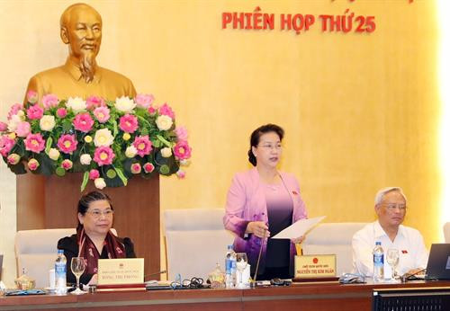 越南国会主席阮氏金银在会议上发表结论性讲话。越通社记者 仲德 摄