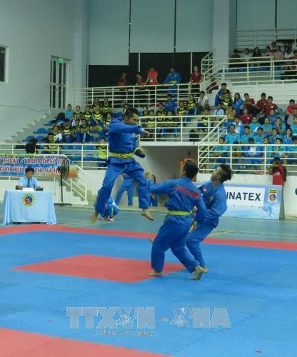 2017年第25届全国越武道锦标开幕。(图片来源:越通社) 2017年第25届全国越武道锦标开幕。(图片来源:越通社)