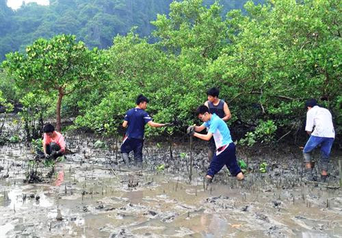 资料图 图自互联网 资料图 图自互联网