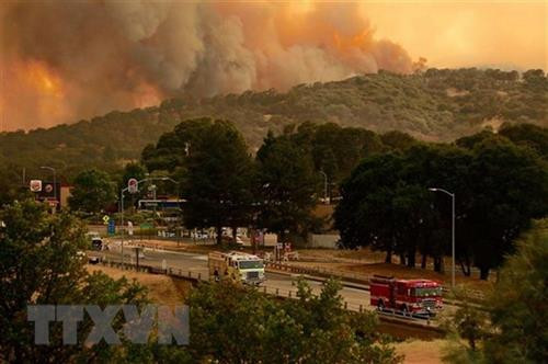 附图。（图片来源：越通社）