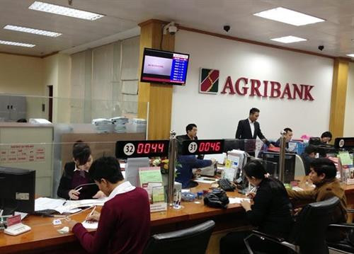 资料图：越南农业与农村发展银行的交易所。图自越通社