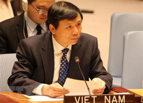 越南常驻联合国代表团团长邓廷贵。 图自越通社