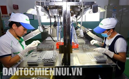 日本投资者的越南Nidec Tosok有限公司正有效运营。设在新顺加工区的该公司专门生产机械部件。记者 名蓝 摄