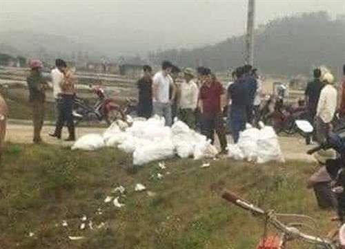 附图:嫌疑人仍在路边的毒品。图自互联网 附图:嫌疑人仍在路边的毒品。图自互联网