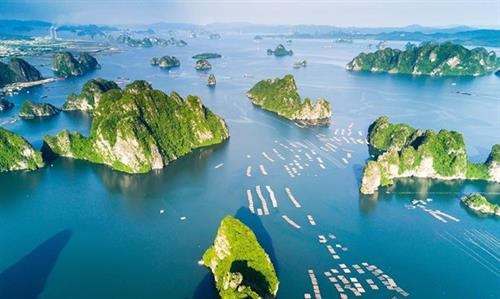 越南广宁省下龙湾美景。图自因特网