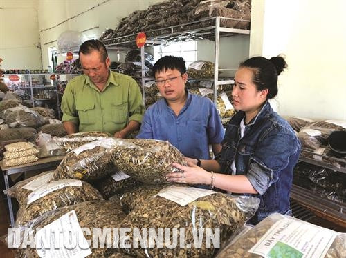 游客了解乂安省昆光橙子制品。记者 碧惠 摄 出售农产品，服务前来乂安省西部旅游的游客。记者 碧惠 摄 青章县青安乡朝高茶山成为吸引大量游客的旅游景点。记者 校专 摄 义坛县义山乡向日葵花田吸引许多游客前来拍照留念。记者 尹晋 摄 游客能进入昆光县蓬溪乡橙子园参观和现场品尝橙子。记者 碧惠 摄