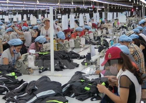 附图。图自越通社