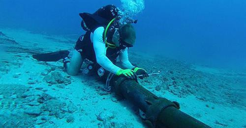 附图。图自互联网 附图。图自互联网