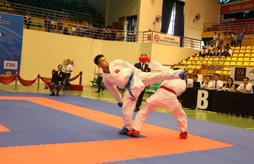 越南运动员。（图片来源：越通社）